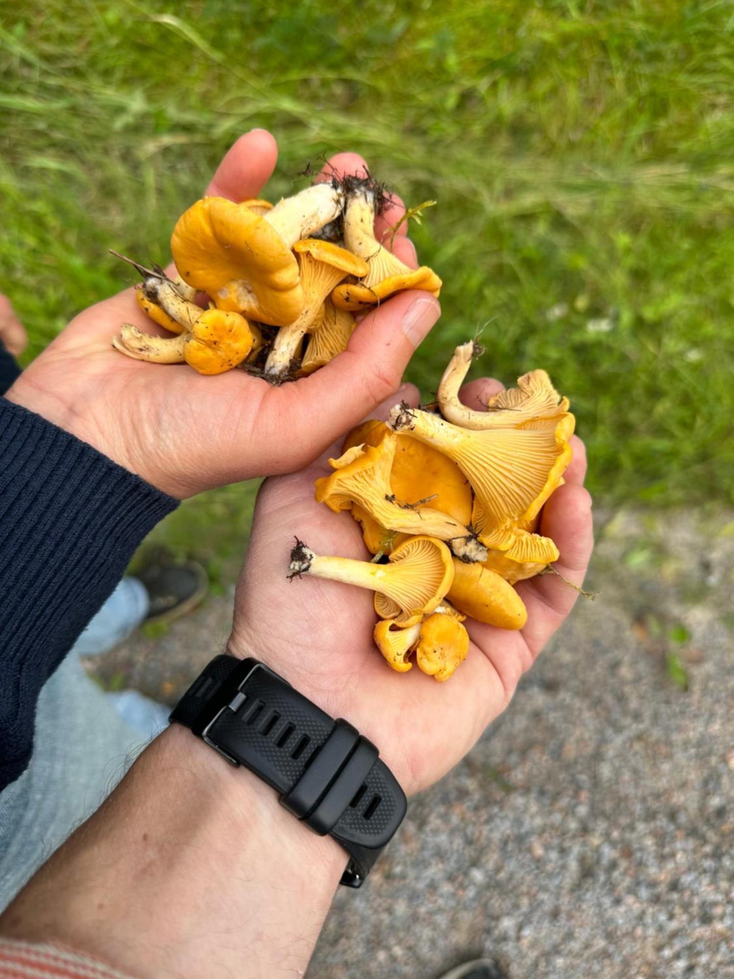 Hagbards By Gardspensionat Sloinge Exteriér fotografie