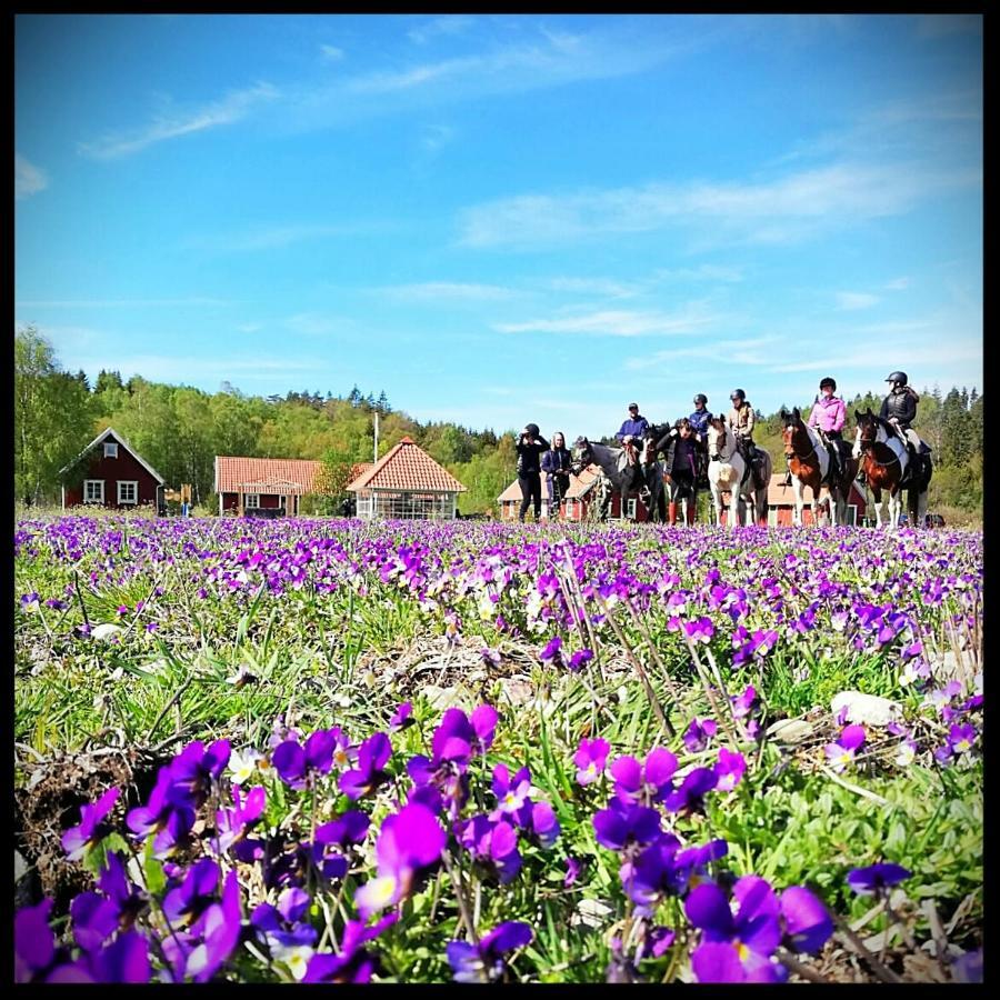 Hagbards By Gardspensionat Sloinge Exteriér fotografie